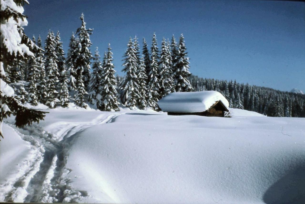 Ferienhaus Beim Veitele Lägenhet Mittenwald Exteriör bild